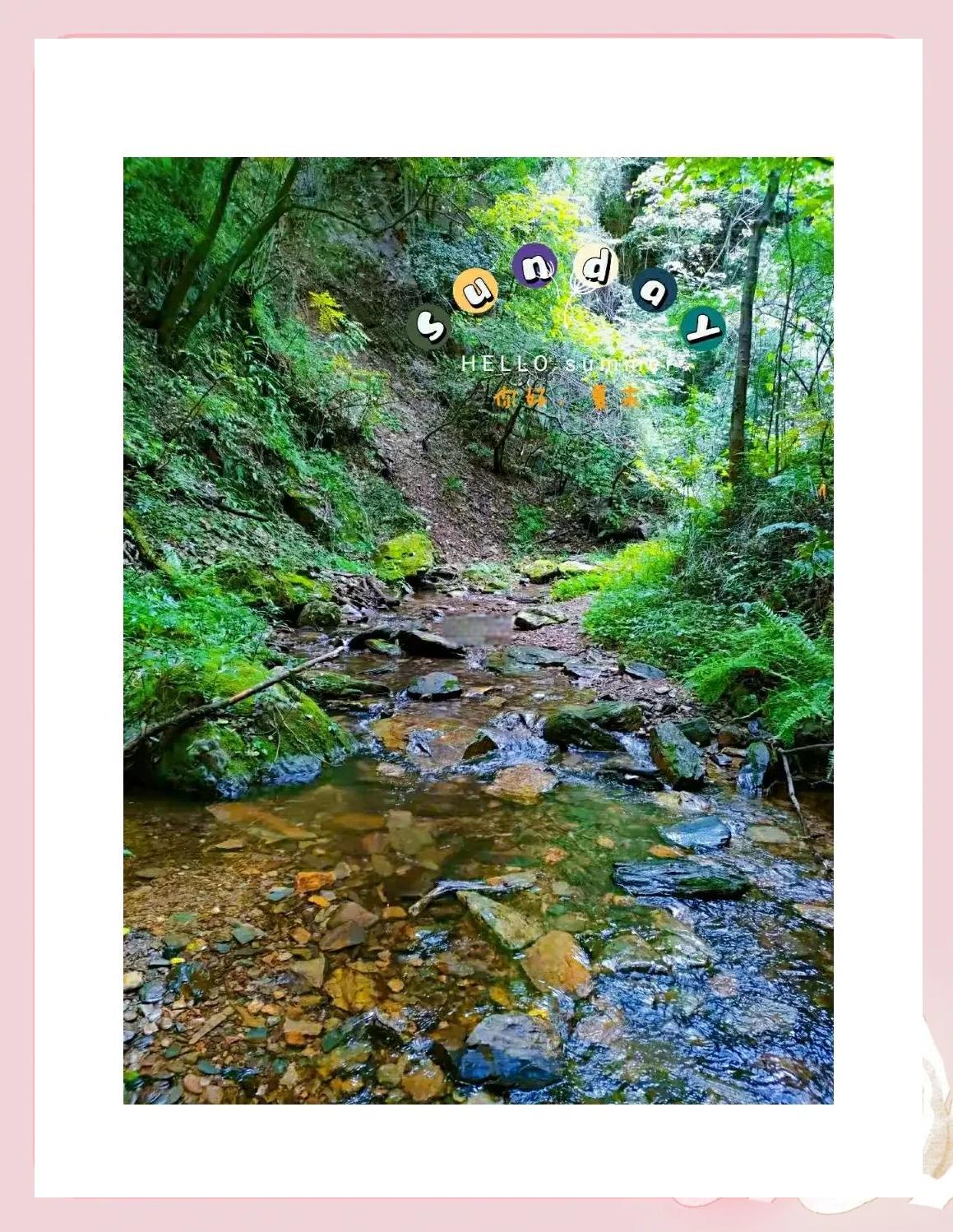 包含山野采蘑菇徒步，与大自然亲密接触的词条