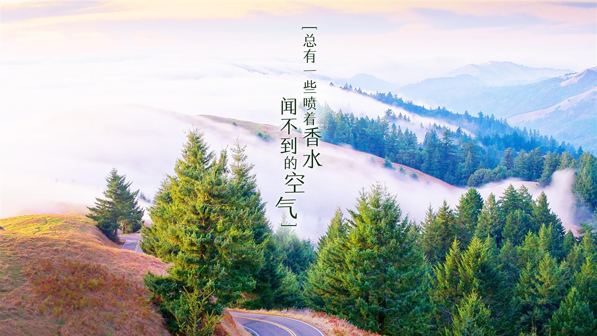 _费德勒宣布退役，网坛传奇告别赛场_，费德勒退出2020赛季 新闻