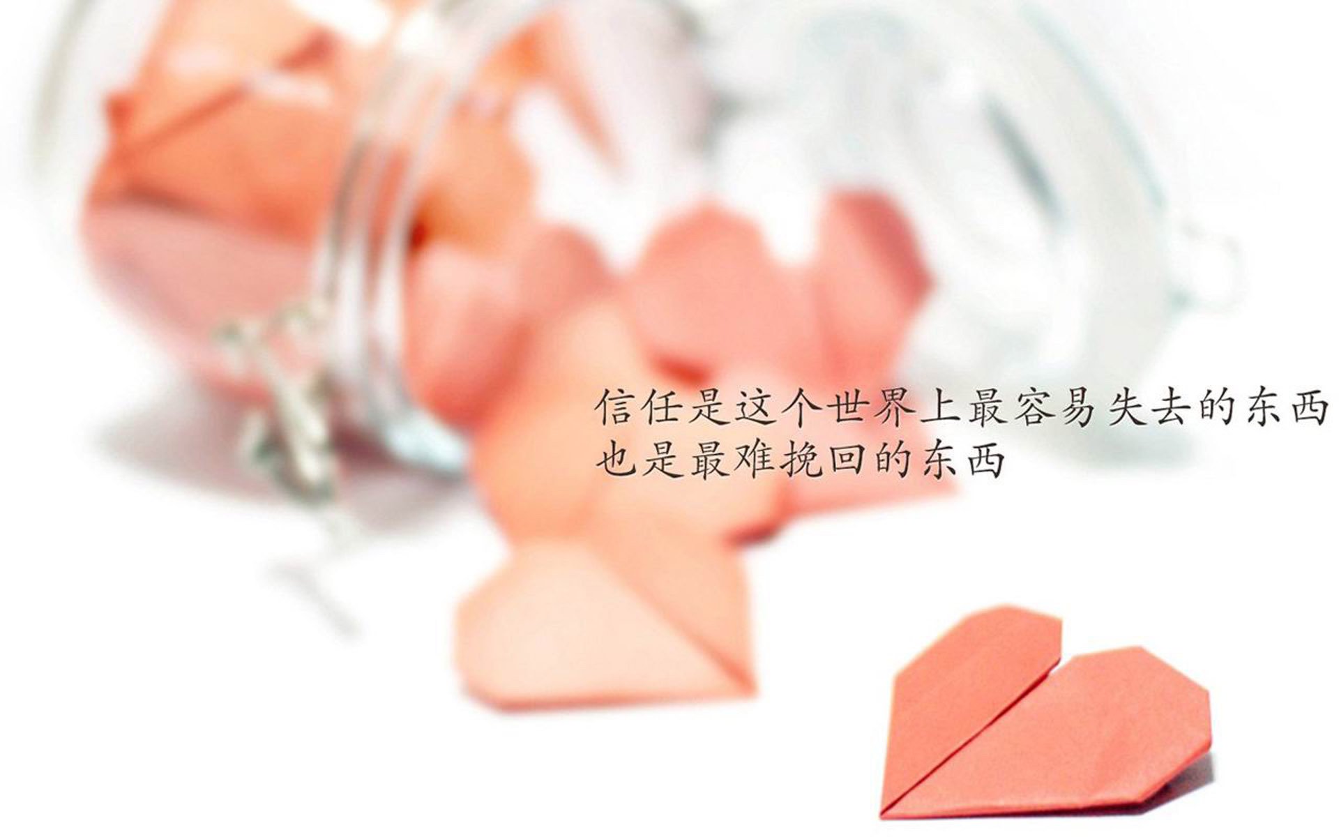 自由泳短距离德国选手表现积极，自由泳世界第一
