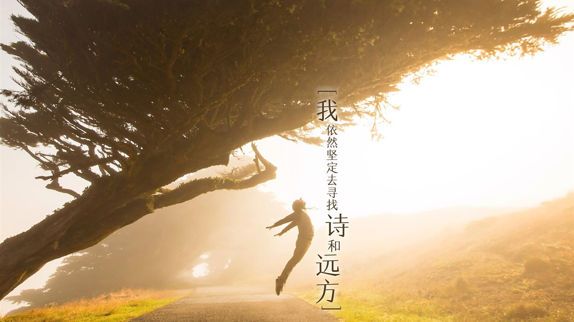 西甲高科技设备的实际应用效果，西甲高科技设备的实际应用效果是什么